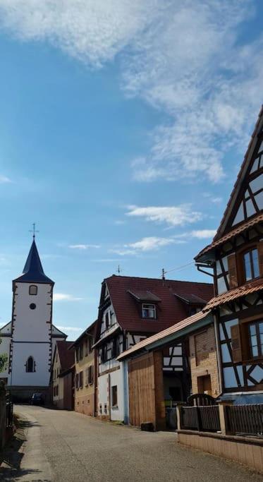 AlteckendorfAlsace Bas-Rhin Logis Independant Avec Piscine Priveeアパートメント エクステリア 写真